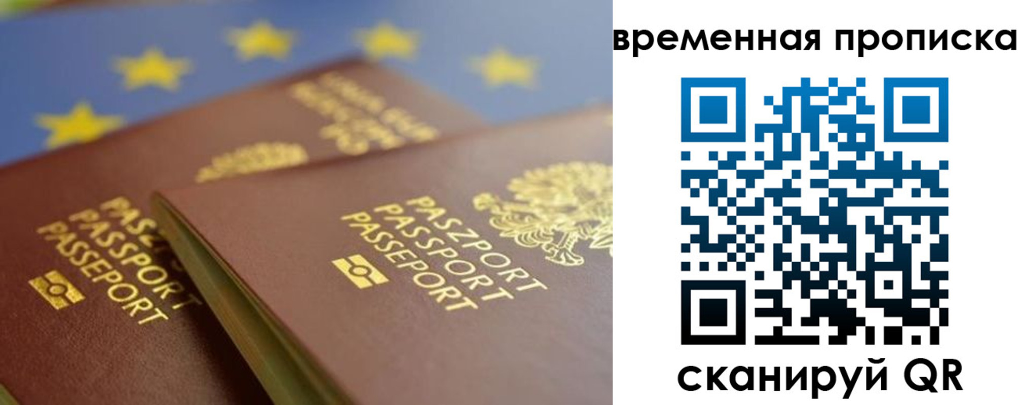 прописка законно в Курчатове